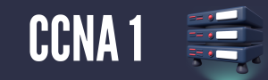 ccna 1